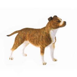 Country Artists Staffordshire Bull Terrier