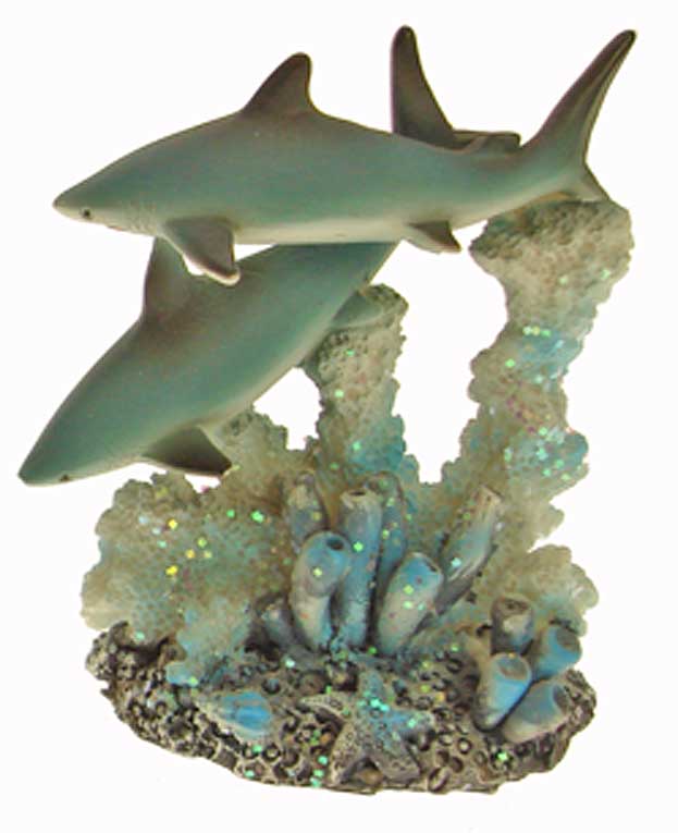 Haaien bij koraalrif 2