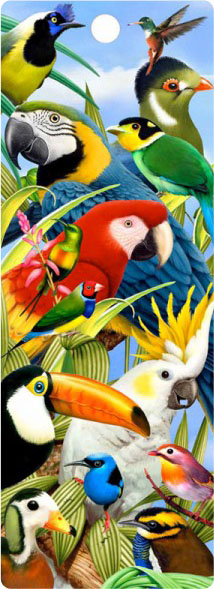 3D Boekenlegger: Vogelwereld
