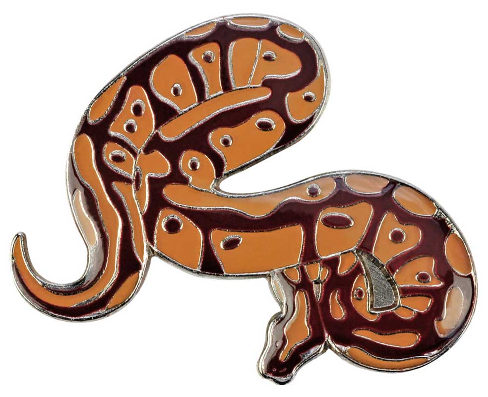 Pin / broche: Python