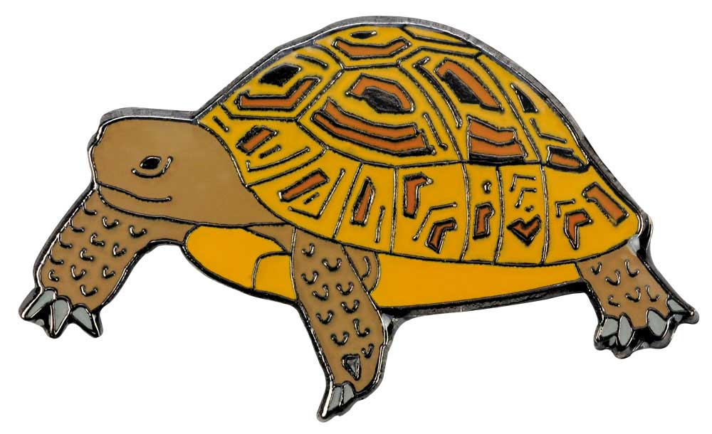 Pin / broche: Schildpad