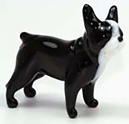 Glas Boston Terrier