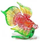 Painted Glass: Vis japanse vechtvis