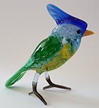 Glas vlaamse gaai blauwe kuif