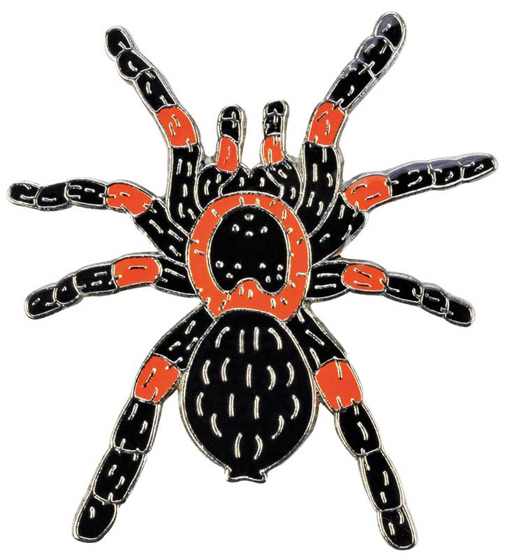 Pin / broche: Tarantula spin