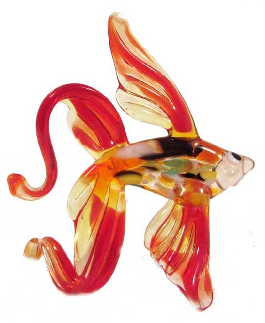 Op maat Om toevlucht te zoeken Decimale Glazen vis met rode vinnen, Webwinkel het Varaantje