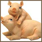 Varkens