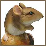 Knaagdieren