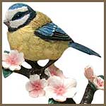 Overige vogels