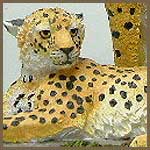 Cheetahs