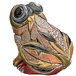 Rinconada Kikkers