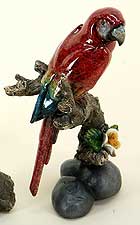 Papegaai rood
